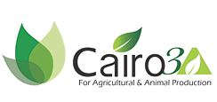 Logo_cairo