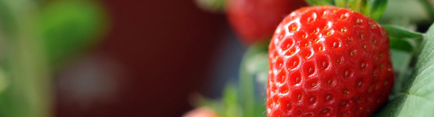 strawberry